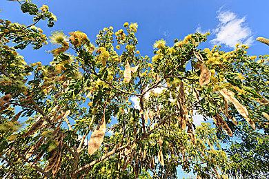《星空》第一个同伴角色亮相 机器人VASCO有干劲