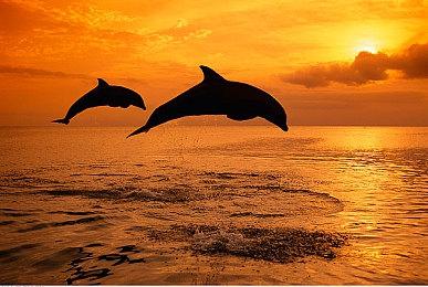 《真人快打1》正式发售 Steam“多半好评”