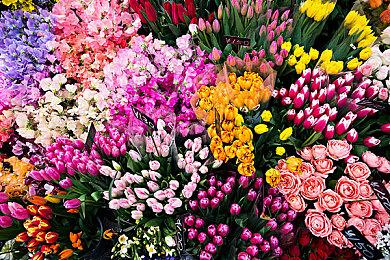 KK官方对战平台肉鸽生存新图《无限火力》上线!开启策略与战斗的全新篇章!