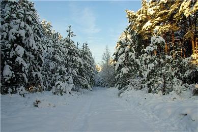 《机甲战魔：神话之裔》全新预告视频 近战武器介绍！